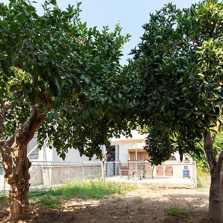 Garden House Preveza Apartment Ngoại thất bức ảnh
